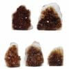 1.70kg Citrine Mini Cluster Specimen Set 5 Pieces DR360 | Himalayan Salt Factory