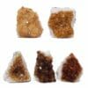 1.70kg Citrine Mini Cluster Specimen Set 5 Pieces DR362 | Himalayan Salt Factory