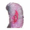 2.61kg Pink Agate Crystal Lamp S1130 2 2.61kg Pink Agate Crystal Lamp S1130 | Himalayan Salt Factory