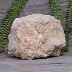 6.30kg Natural Calcite Geode Pair S1177 | Himalayan Salt Factory