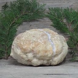 5.69kg Natural Calcite Geode Pair N1975 | Himalayan Salt Factory