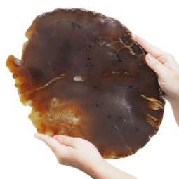 Natural Agate Polished Slab Plate DB467 | Himalayan Salt Factory