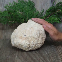 Natural-Calcite-Geode-Pair-S1240 | Himalayan Salt Factory