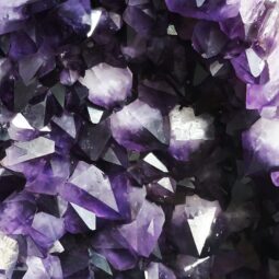 Amethyst Geode On Stand DS2461 | Crystal Factory