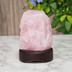 Feb Deal | Himalayan Salt Factory