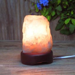 Feb Deal 6 Feb Deal | Himalayan Salt Factory