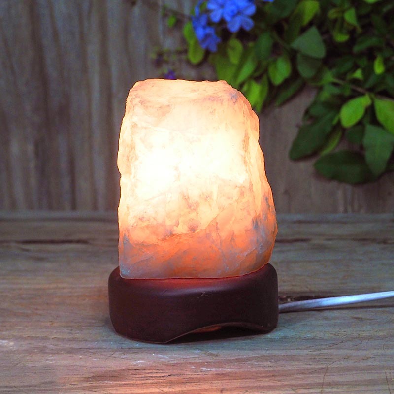 Feb Deal 4 Feb Deal | Himalayan Salt Factory