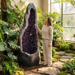 Amethyst Cathedral Geode - A Grade DS2591 | Crystal Factory