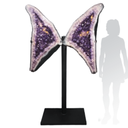 161kg Amethyst Geode Angel Wings DS2598 6 Amethyst-Geode-Angel-Wings-DS2598 | Himalayan Salt Factory