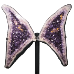 161kg Amethyst Geode Angel Wings DS2598 7 Amethyst-Geode-Angel-Wings-DS2598 | Himalayan Salt Factory