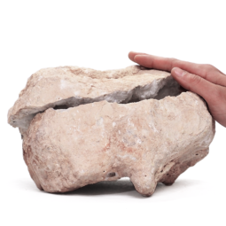 Natural-Calcite-Geode-Pair-S1366 | Himalayan Salt Factory