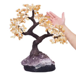 Citrine Gemstone Bonsai Tree on Amethyst Cluster 48 Branches DV111 | Crystal Factory