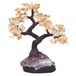 Citrine Gemstone Bonsai Tree on Amethyst Cluster 48 Branches DV111 | Crystal Factory