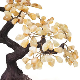 Citrine Gemstone Bonsai Tree on Amethyst Cluster 48 Branches DV111 | Crystal Factory