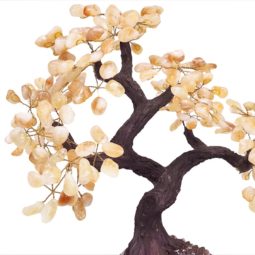 Citrine Gemstone Bonsai Tree on Amethyst Cluster 48 Branches DV111 | Crystal Factory