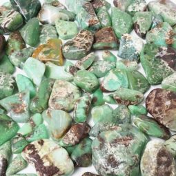 250g Western Australian Chrysoprase Tumbled Stones Parcel 14 250g Western Australian Chrysoprase Tumbled Stones Parcel | Crystal Factory