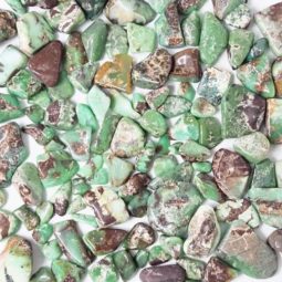 250g Western Australian Chrysoprase Tumbled Stones Parcel 15 250g Western Australian Chrysoprase Tumbled Stones Parcel | Crystal Factory