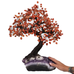 10.5kg Carnelian Gemstone Bonsai Tree on Amethyst Cluster 108 Branches DV125 5 Carnelian-Gemstone-Bonsai-Tree-on-Amethyst-Cluster-48-Branches-DV122 | Crystal Factory