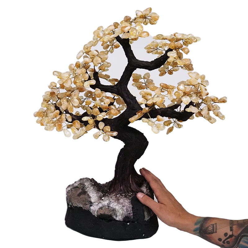 10.4kg Citrine Gemstone Bonsai Tree on Amethyst Cluster 108 Branches DV124 4 Citrine-Gemstone-Bonsai-Tree-on-Amethyst-Cluster-48-Branches-DV122 | Crystal Factory