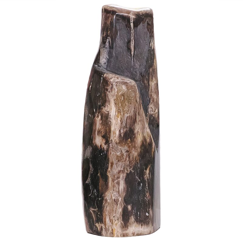 10.1kg Petrified Wood DS2875 3 Petrified Wood DS2875 | Crystal Factory