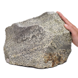 22kg Dalmatian Jasper DS2635 5 Dalmatian-Agate DS2635 | Crystal Factory