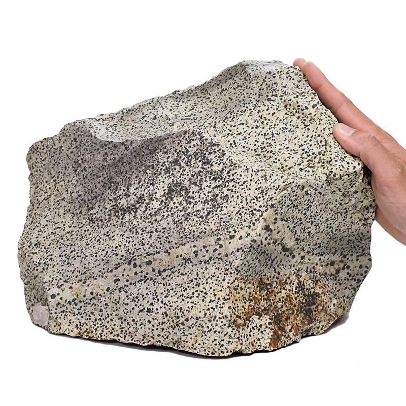 22kg Dalmatian Jasper DS2635 4 Dalmatian-Agate DS2635 | Crystal Factory