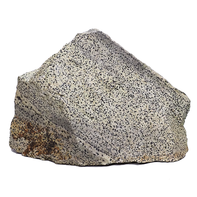 22kg Dalmatian Jasper DS2635 3 Dalmatian-Agate DS2635 | Crystal Factory