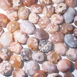 Madagascar Flower Agate Palm Stones 500g Parcel | Crystal Factory