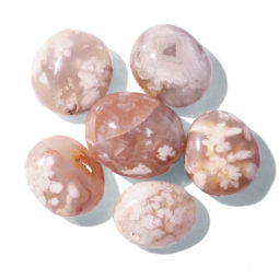 Madagascar Flower Agate Palm Stones 500g Parcel | Crystal Factory