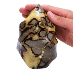Septarian-Polished-Flame--DK1048 | Crystal Factory