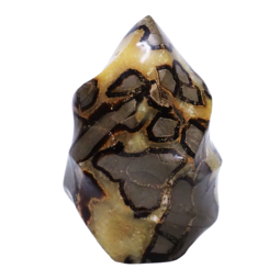 Septarian-Polished-Flame--DK1048 | Crystal Factory