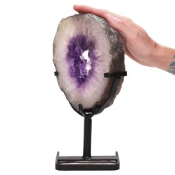 Amethyst-Ring-Slice-DS2746 | Crystal Factory