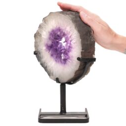 3.2kg Natural Amethyst Ring Slice on Stand DS2747 5 Amethyst-Ring-Slice-DS2747 | Crystal Factory