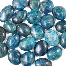 Apatite Polished Palm Stone - Mini | Crystal Factory
