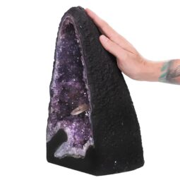Amethyst Geode DS2785 | Crystal Factory
