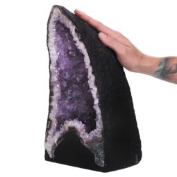 Amethyst Geode DS2789 | Crystal Factory