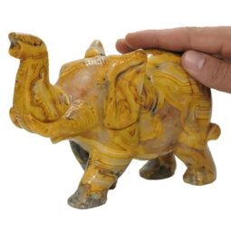 Crazy Lace Agate Elephant DS2822 | Crystal Factory