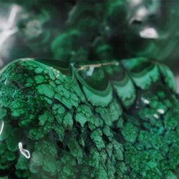 Natural Polished Malachite Specimen L470 | Crystal Factory