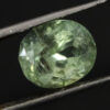 Natural Tourmaline Faceted Crystal Stone DV207 | Crystal Factory