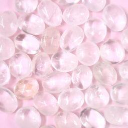 Clear Quartz Palm Stone - Mini | Crystal Factory