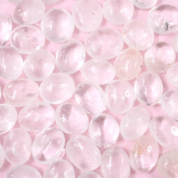 Clear Quartz Palm Stone - Small | Crystal Factory