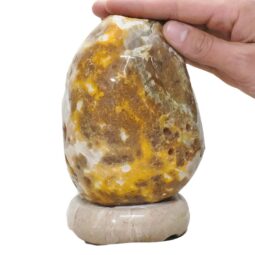 Brazilian River Agate Lamp DB694 | Crystal Factory