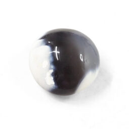 Madagascar Orca Agate Palm Stone - Mini | Crystal Factory