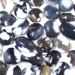 Madagascar Orca Agate Palm Stone - Mini | Crystal Factory