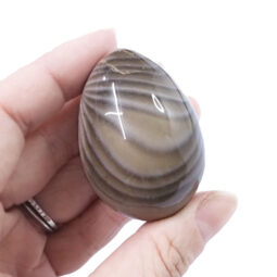 Natural Banded Agate Egg | Crystal Factory