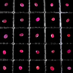 Ruby Oval Faceted Gemstone - Large 11