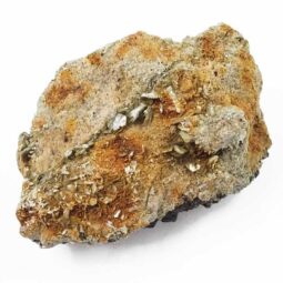 Black Tourmaline Matrix Mica Specimen L483 | Crystal Factory