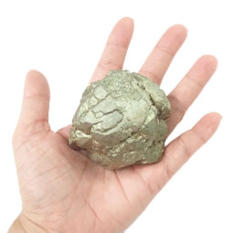 Pyrite Specimen L477 | Crystal Factory