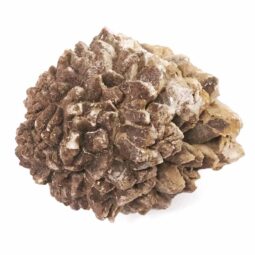 Australian Glendonite Mineral Specimen DR563 | Crystal Factory