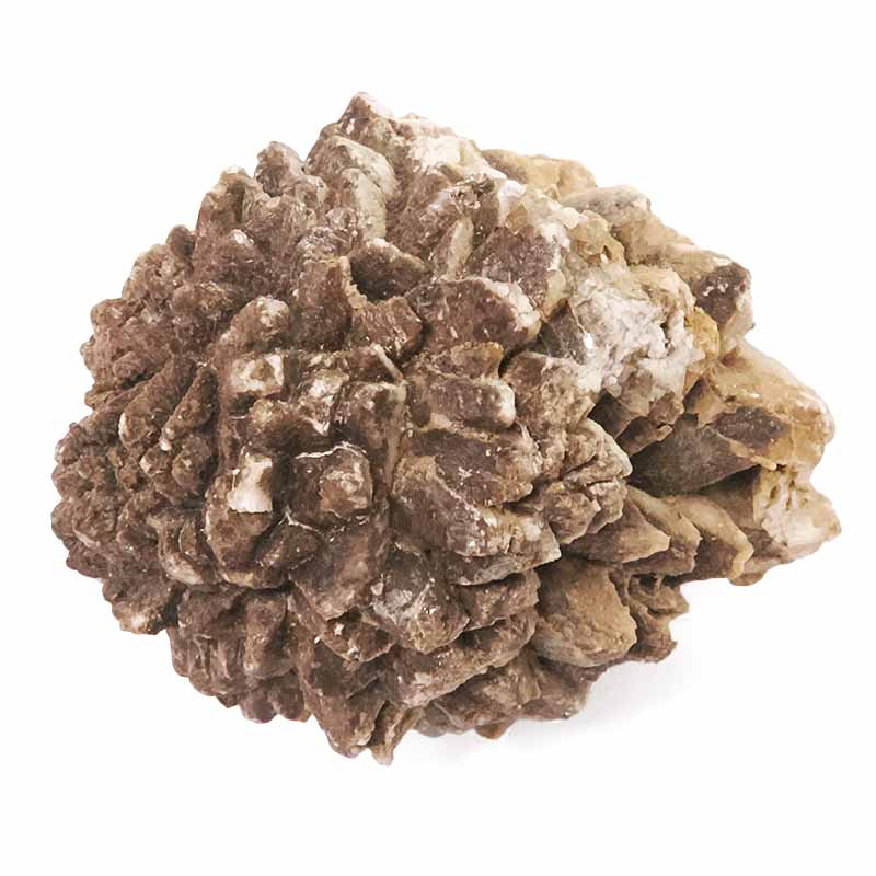 0.21kg Australian Glendonite Mineral Specimen DR563 3 Australian Glendonite Mineral Specimen DR563 | Crystal Factory